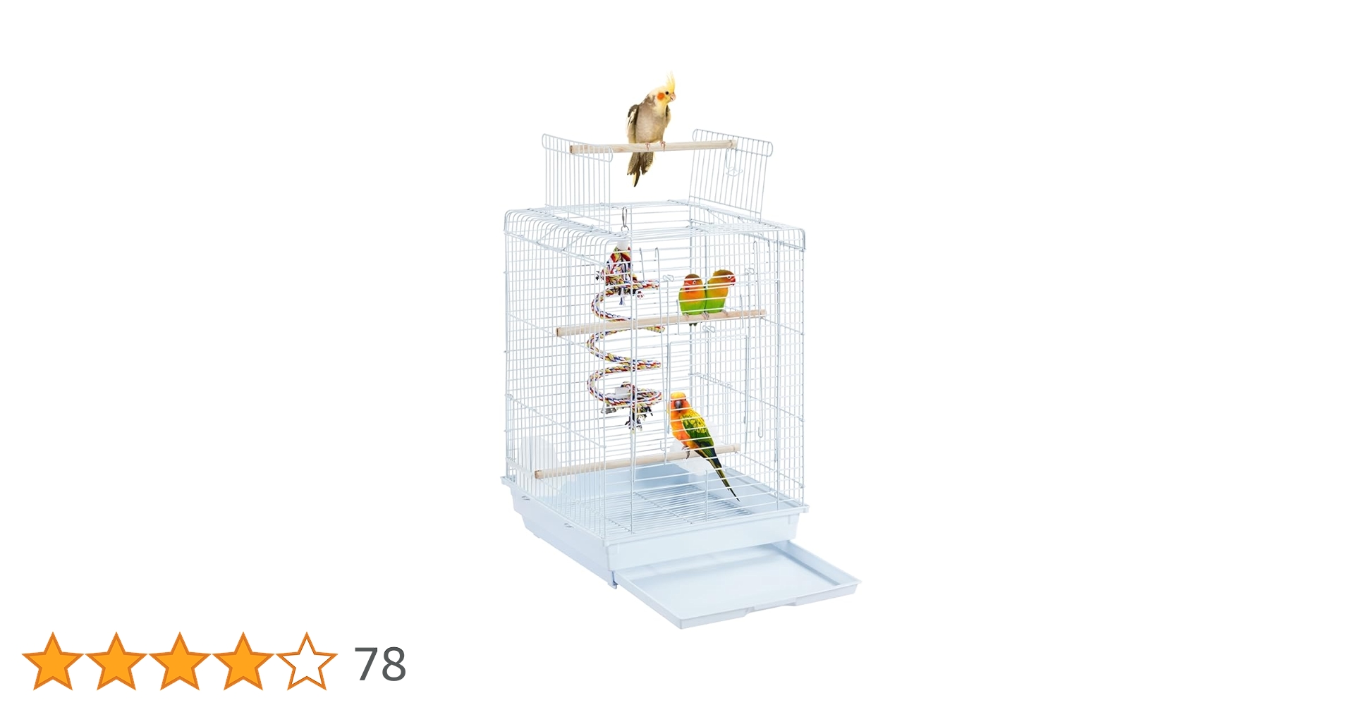 バカラ、インコ、置物 SWAROVSKI スワロフスキー Swarovski セキセイインコ 鳥 680627
